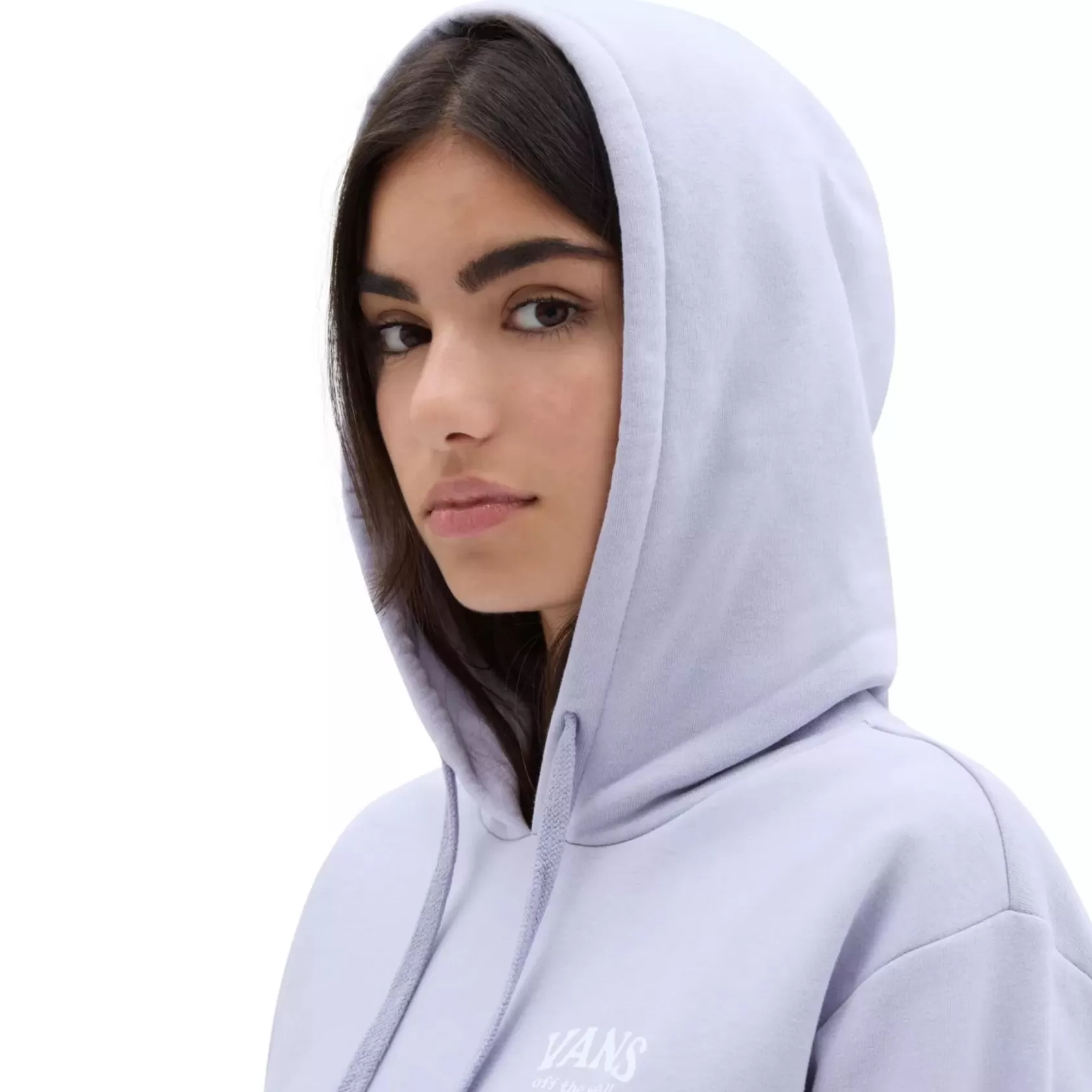 Vans Sudaderas<Sudadera Con Capucha De Corte Masculino Otherworld Purpura