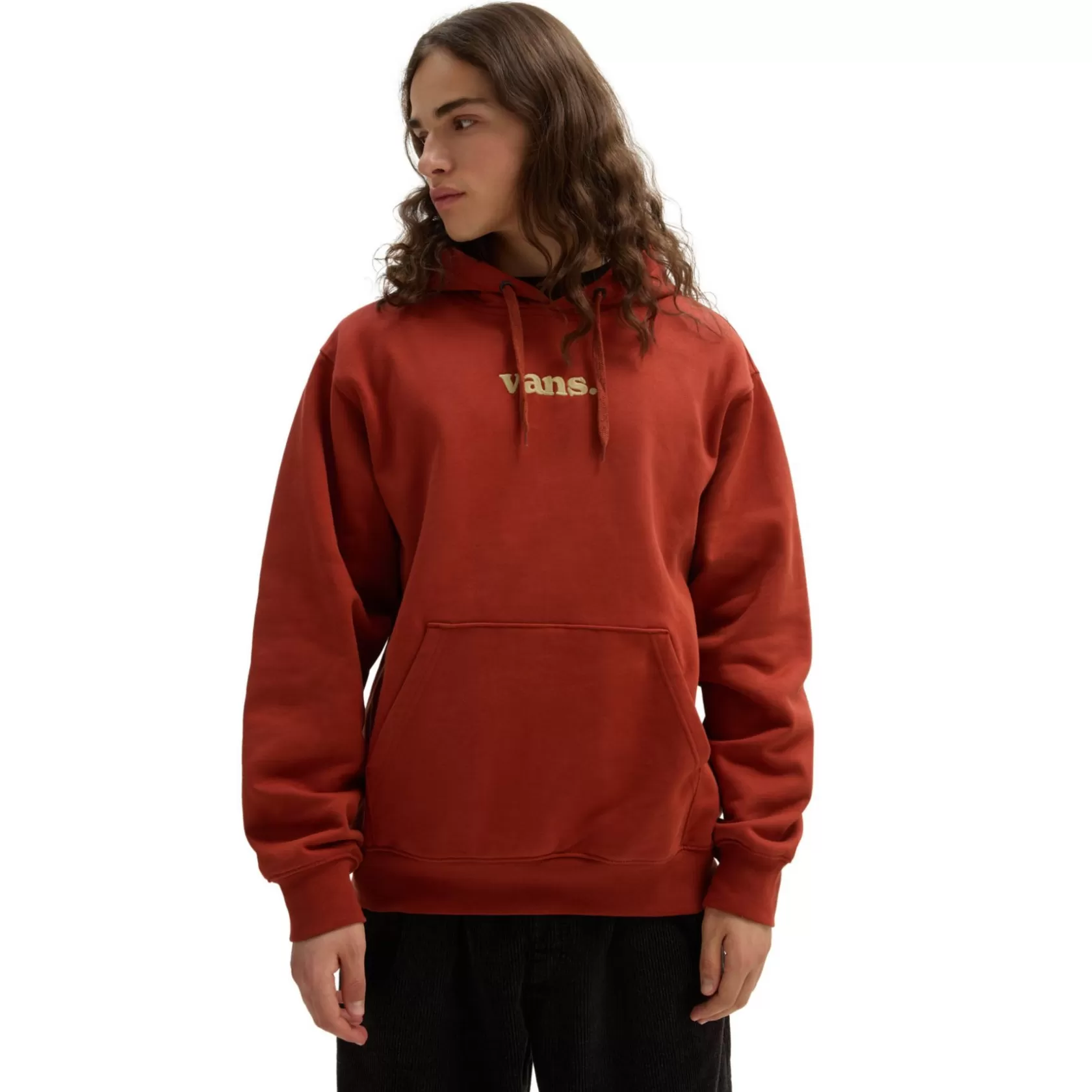 Vans Sudaderas<Sudadera Con Capucha Lowered Loose Rojo