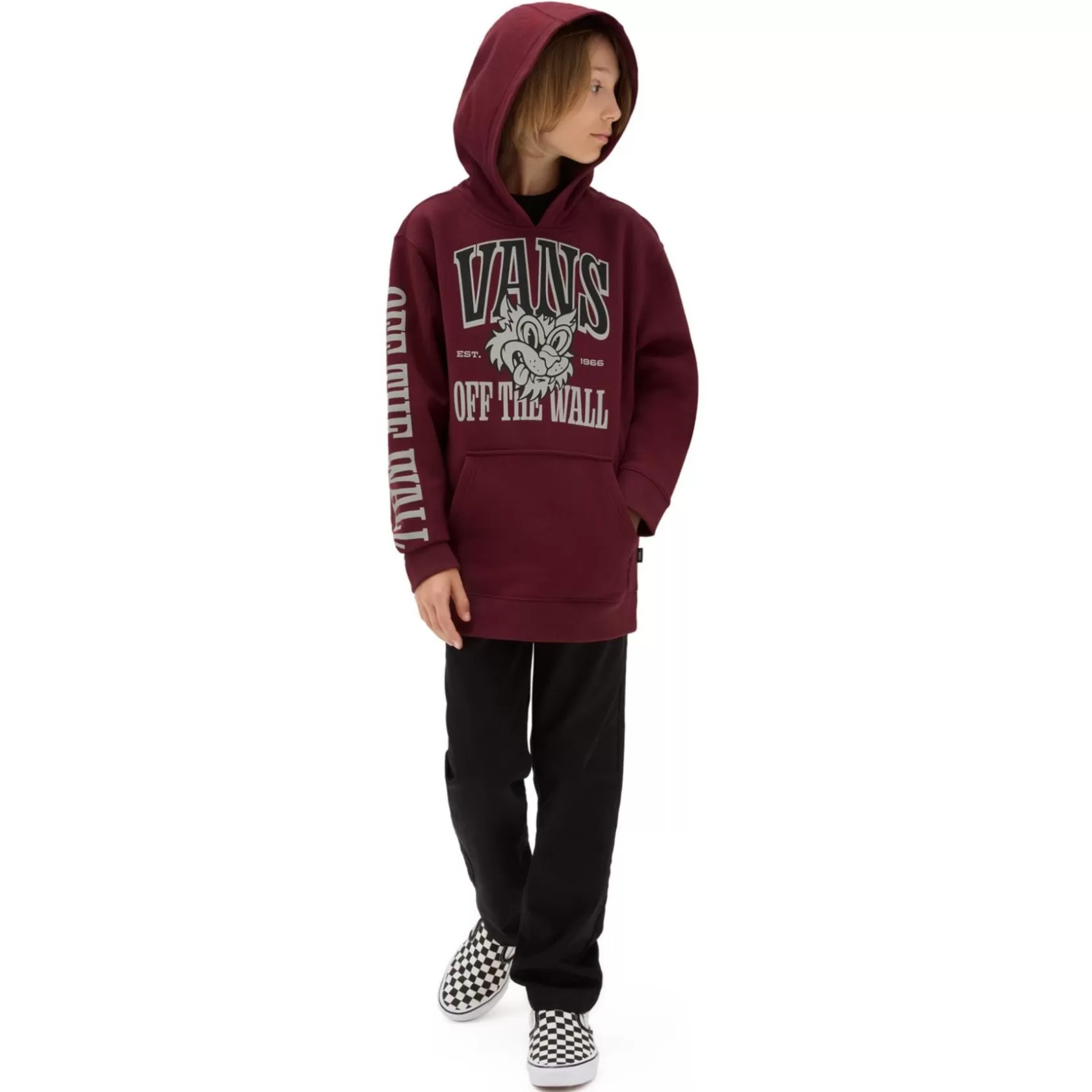 Vans Ropa Para Chicos (8-14 Años)<Sudadera Con Capucha Mascot De Niños (8-14 Anos) Rojo